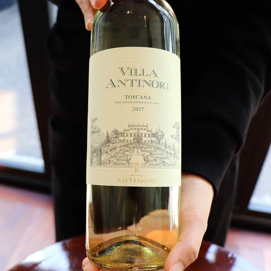 ワイン専門店エノテカ公式アカウントさんのインスタグラム写真 - (ワイン専門店エノテカ公式アカウントInstagram)「名家アンティノリ家の手腕を存分に堪能できる、ハイコスパな白ワイン。“ヴィラ・アンティノリ・ビアンコ”。﻿ ﻿ こちらを手掛けるアンティノリは、はるか14世紀よりワイン史に足跡を残す、トスカーナ州フィレンツェの偉大なワインメーカーです。﻿ ﻿ かの有名なスーパータスカンの一つである「ティニャネロ」、「ソライア」を生み出し、その名を世界中に広く知らしめました。﻿ ﻿ そんな彼らが手掛けるこちらワインは、トレッビアーノとマルヴァジア、ピノ・ビアンコとピノ・グリージョ、ライン・リースリングと、主にトスカーナの伝統的な固有品種をブレンド。﻿ ﻿ バナナやオレンジの花の香り、軽やかな甘さを感じる青リンゴやシトラス、 白桃などのフルーティーな香りが広がります。 ﻿ ﻿ フレッシュさと上品さを兼ね揃えたバランスの取れた味わいが、風味豊かな余韻と共に長く残る1本です。﻿ ﻿ ▼お買い物はプロフィールのリンクから﻿ @enoteca_wine﻿ ﻿ #エノテカ#enoteca#enoteca_wine ﻿ #winestagram #winegram #wine #antinori #villaantinori﻿ #ヴィラアンティノリ #アンティノリ #ヴィラアンティノリビアンコ #白ワイン #イタリア #トスカーナ #イタリアワイン #ワイン #ワイン好き #ハイコスパワイン﻿」7月2日 11時59分 - enoteca_wine