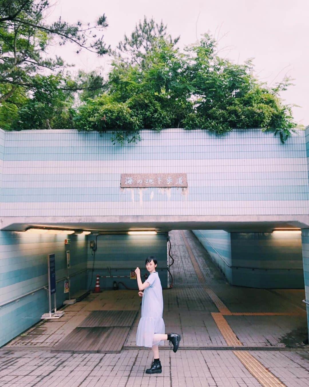 藤井祥子さんのインスタグラム写真 - (藤井祥子Instagram)「🐬🎈🐬🎈. . . onepiecedress #akiranaka」7月2日 12時09分 - shoco_fuji