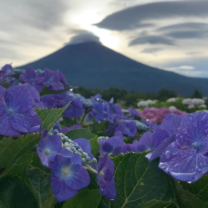 phantastic420のインスタグラム：「. 🤩🤩“Shizuoka” prefecture in Japan is a place where you can see the most “phantastic” Mt. Fuji🗻 in the world.🤩 #富士山 #mtfuji #japan #shizuoka #fujinomiya  #phantastic420photography #mostphantasticmtfuji #selamatpagi  #goodmorning  #おはようございます 😇😇😇😇😇😇😇🗻😇😇」