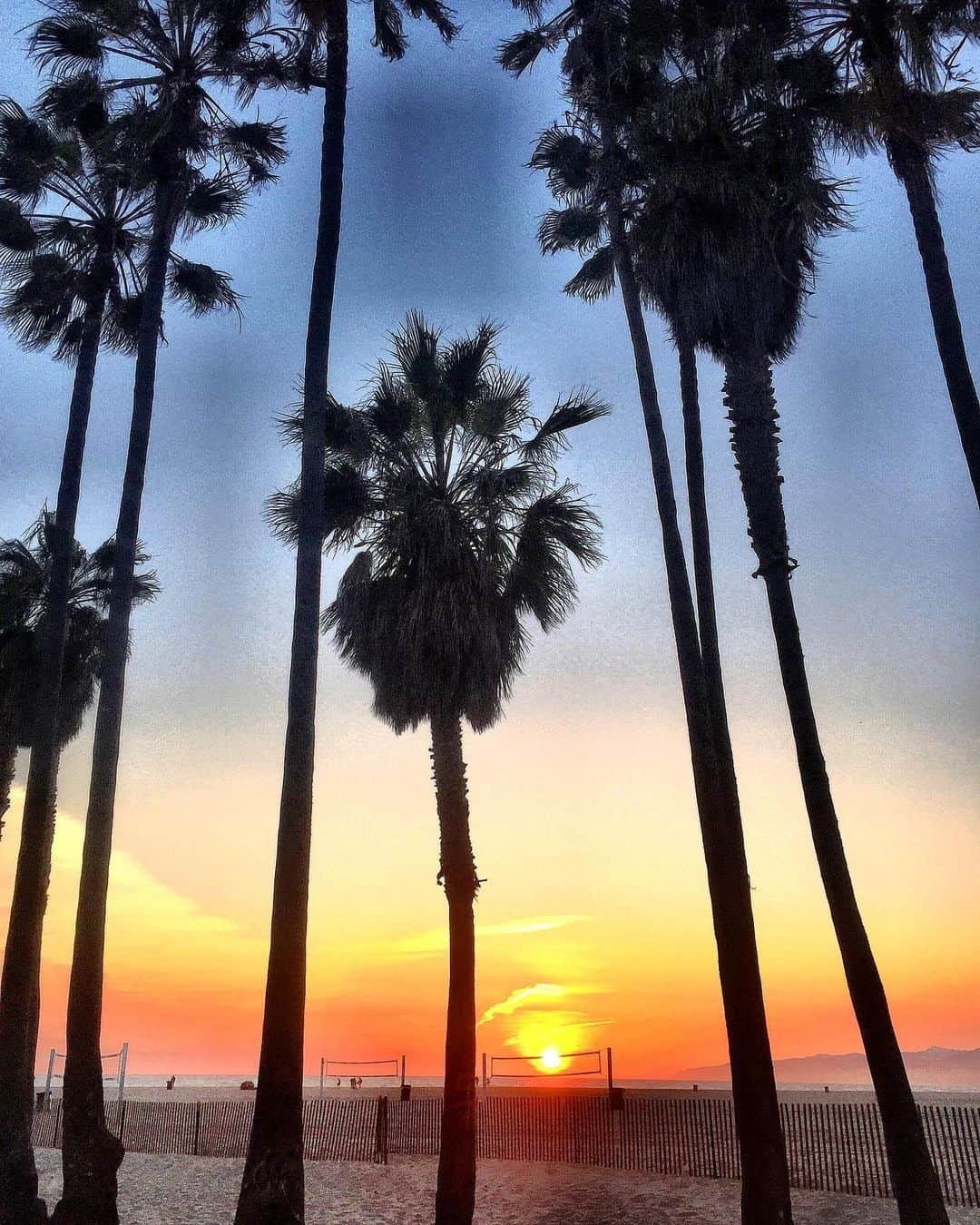 シャーニ・ヴィンソンのインスタグラム：「Summer has officially arrived! ☀️ #california #sunset #santamonica #palmtrees #ocean #sand #beachliving #summertime 🌴🌅🌴」