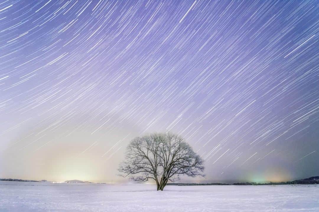 Canon Asiaのインスタグラム：「“I took this photo of the popular Harunire elm tree during the icy winter, with stars falling overhead. An iconic symbol of Toyokoro, Hokkaido, it was covered in layers of hoarfrost due to the cold weather (-24℃) and the high humidity.” • Winter ☃️ holds endless possibilities to exercise your photographic creativity! Switch to bulb mode and capture a long exposure shot of the brilliant stars 🌠 that complete your image of a winter wonderland 🌨️ • 📷 Image by @__butterfly67__ shot using the Canon EOS 750D | Canon EF-S 10-18mm f/4.5-5.6 IS STM | 30s | f/4.5 | ISO 3200 | 10mm  Want your photos to be featured too? Tag them with #canonasia !  #canonasia #photography #hokkaido #japan #japan_of_insta #japan_night_view #landscapephotography」