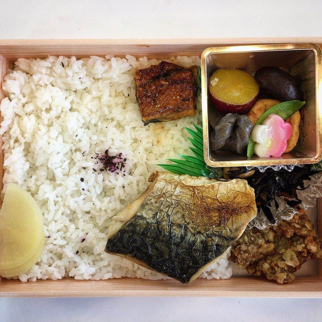 のインスタグラム：「お昼ご飯に「ロケ弁当」。 鯖とだし巻きがいいっすなぁ。 さてさて午後も頑張っていってみよー。 #ロケご飯 #ロケでした」