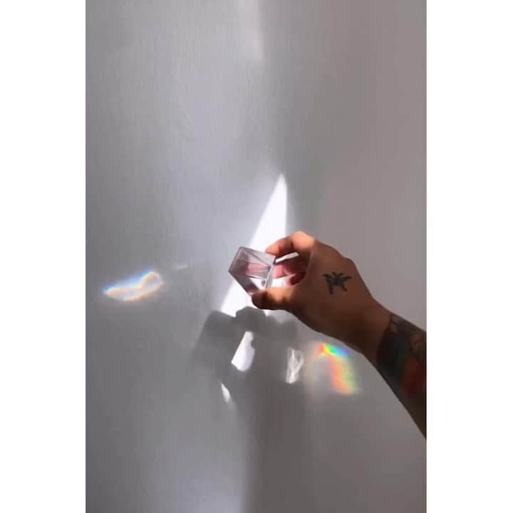 palomaparrotのインスタグラム：「💎🌈」