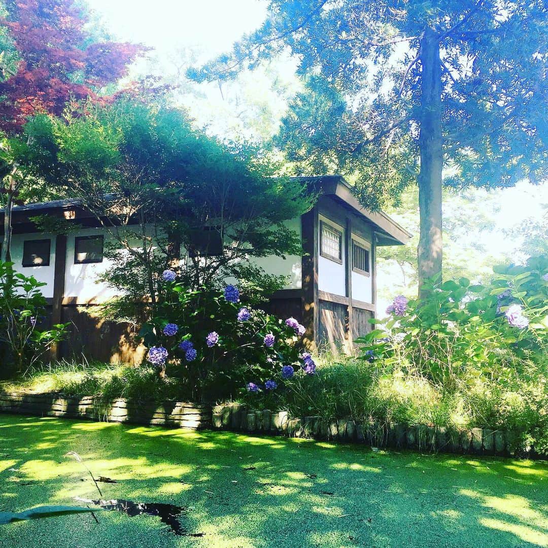comb de shioのインスタグラム