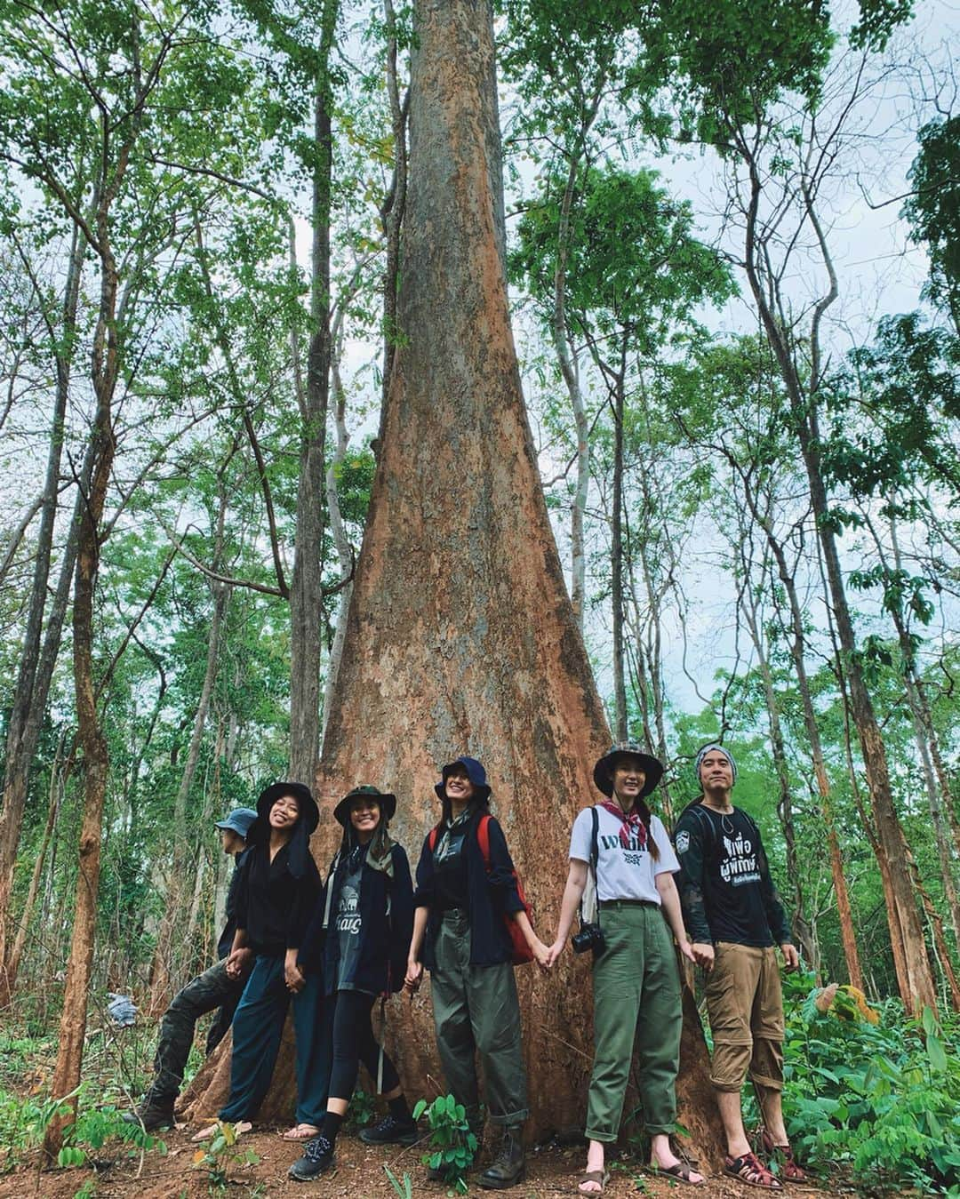 Amata Chittaseneeさんのインスタグラム写真 - (Amata ChittaseneeInstagram)「head bow to the trees//hands down to the ground 🌱 การปลูกต้นไม้มีคุณค่าทางจิตใจเพราะต้นไม้มันปลูกเราเอาเข้าจริงๆแล้ว ตอบแทนพื้นแผ่นดิน แม่น้ำ อากาศที่เราหายใจ อาหารที่เราทาน 😊  ช่วงหน้าแล้งที่ผ่านมา พี่อ้วนเข้าไปเก็บเมล็ดพันธุ์ต้นไม้ท้องถิ่นในป่า เพื่อเอามาใช้ปลูกในหน้าฝนนี้ มี มะกอกป่า มะม่วงป่า สมอพิเภก แล้วก็มีต้นกล้ามาเพิ่มอย่างอีกด้วย ให้โอกาสกับธรรมชาติให้ฟื้นตัว  ทำหน้าที่แทนสัตว์ป่าก็ว่าได้ :) ถ้าเราอยากจะที่มีความมั่นคง เราต้องมีรากฐานที่แข็งแรงเหมือนการปลูกต้นไม้ด้วยเมล็ดพันธุ์ #Forestbathing #อาบป่า #ShinrinYoku #森林浴 #pearypiegoesgreen #ต้นน้ำ #Thailand #chiangmai #Chiangdao #Voluntour01 #ปลูกต้นไม้ให้เป็นเมฆ #Voluntour」7月2日 14時20分 - pearypie