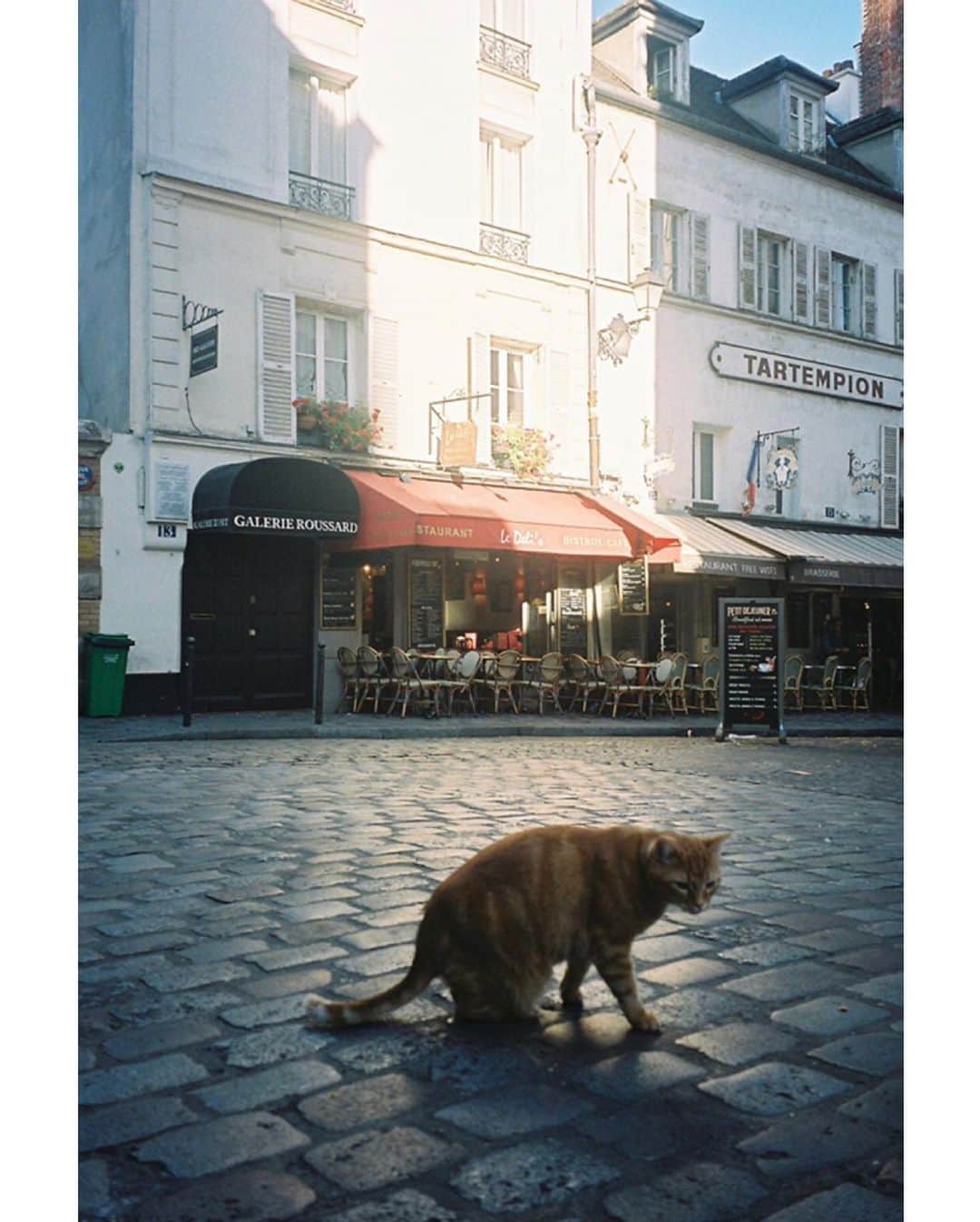 高橋春織さんのインスタグラム写真 - (高橋春織Instagram)「私の撮った写真が絵になりました！ はじめてのことで、嬉しい。。。 普段はお寿司を握ってるお知り合いの方が描いてくれました🍣 趣味の域を超えています。。。 #paris #haofilm #art」7月2日 14時32分 - haoringo_official