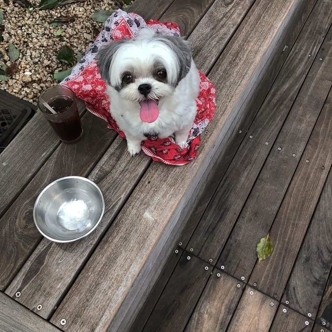 濱田マサルさんのインスタグラム写真 - (濱田マサルInstagram)「いつものカフェで朝茶☕️ 雨が上がり 梅雨明けの兆し 今日は満月🌕」7月17日 10時36分 - hamadamasaru