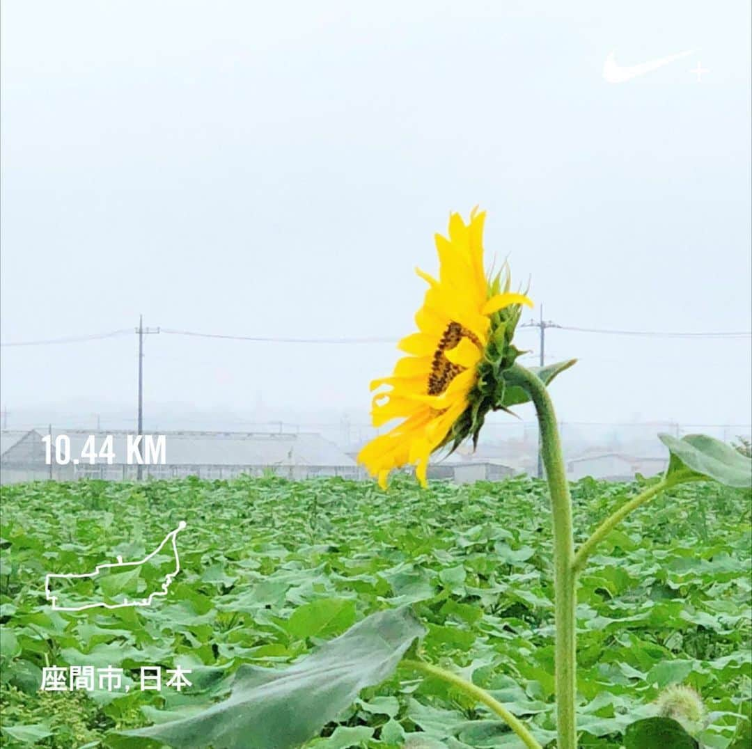 run+のインスタグラム