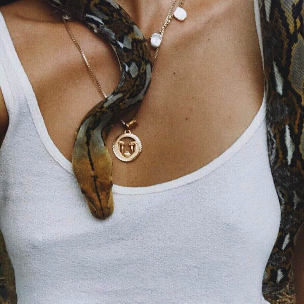 Jessicaさんのインスタグラム写真 - (JessicaInstagram)「Happy World Snake Day! || Via @withmercii & @lucetteromy」7月17日 2時34分 - jessleebuchanan