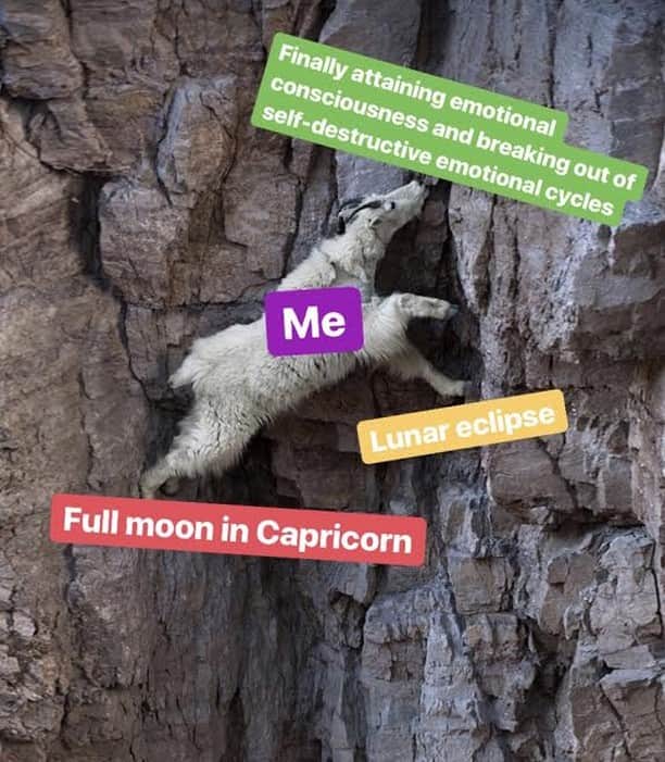 Nylon Magazineさんのインスタグラム写真 - (Nylon MagazineInstagram)「Not only does tonight's full moon in Capricorn come with Big Surrender Energy, but the lunar eclipse is also going to encourage you to let go of false ideas regarding what your public image must be, and who you must be in it. Basically, tonight is a good time to stop punishing yourself for not living up to the Instagram version of you. Instead, channel that energy into connecting with all the aspects of yourself that you love to spend time with. Head to the link in bio for guidance and encouragement 💋🔮✈️⁠ ⁠」7月17日 3時01分 - nylonmag