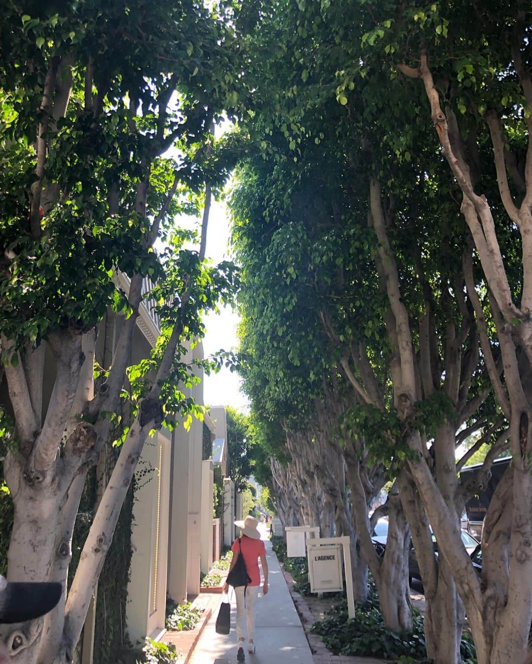 美舟さんのインスタグラム写真 - (美舟Instagram)「LAに出店しているgrossia🌟 商品数が少なめなのでとても買いやすい パッケージも可愛いしね。 こちらに来たら寄ってしまRose cafe☕️ お洒落で美味しいし居心地が良いの💜」7月17日 4時02分 - mifune2014