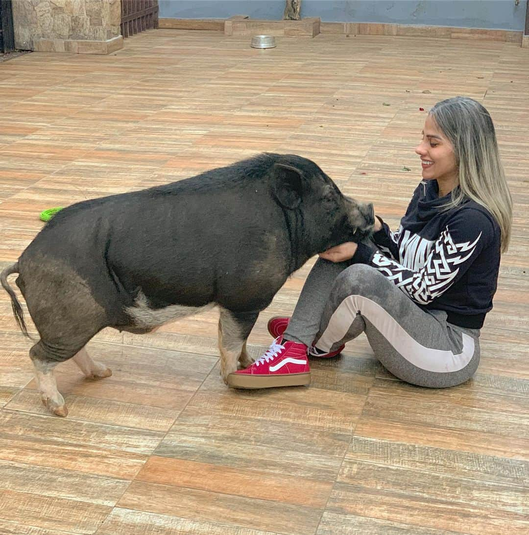 バネッサ・メスキータさんのインスタグラム写真 - (バネッサ・メスキータInstagram)「Meu bebê cresceu 🥺🤣🐷🥰🖤 #pig #piglovers #porcossãoamigos #itimalia」7月17日 5時26分 - vanmesquita