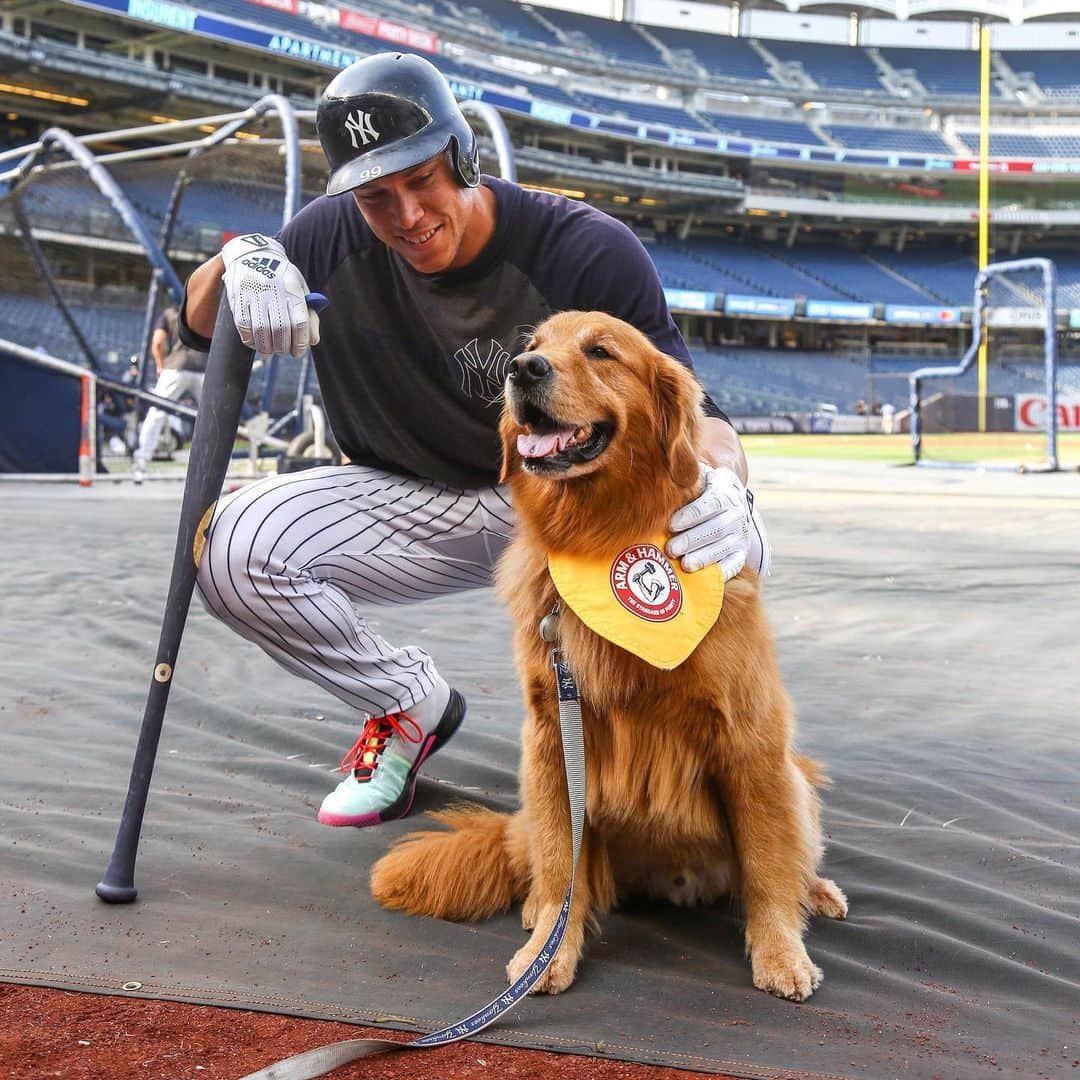 MLBさんのインスタグラム写真 - (MLBInstagram)「@batdogrookie got the call to the bigs and has already made a friend. 😍」7月17日 6時15分 - mlb