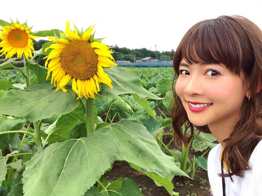 阪本智子さんのインスタグラム写真 - (阪本智子Instagram)「🌻♡ 太陽が恋しい(⸝⸝⸝ᵒ̴̶̷̥́ ꒳​ ᵒ̴̶̷̣̥̀⸝⸝⸝)☀️ 昨日は土砂降りの中、釣りロケをしてました☔ 今日も晴れ予報だったのに、、🤔？💦 #頑張るしかない #晴れ女 #梅雨には勝てない ＊ #sunflower #rainyday #fishinggirl #ひまわり #お花 #阪本智子」7月17日 6時26分 - tomoko_sakamoto423
