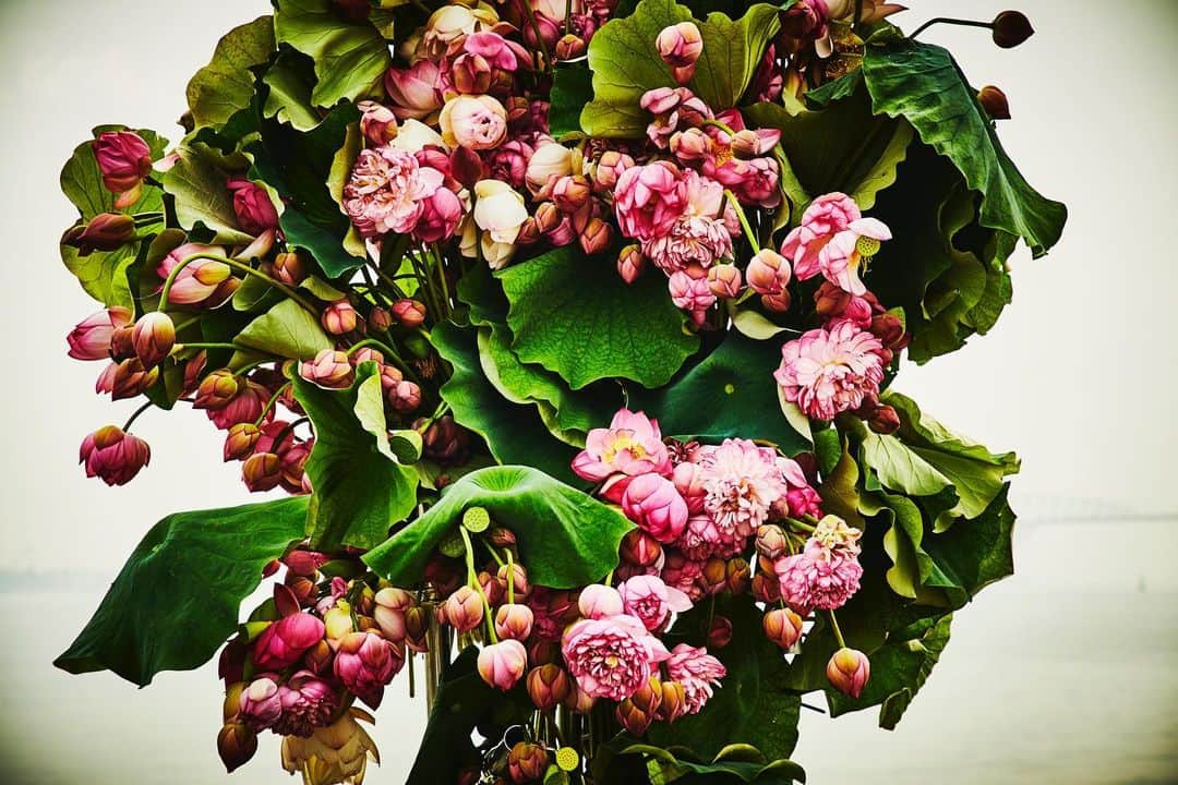 椎木俊介さんのインスタグラム写真 - (椎木俊介Instagram)「Botanical Sculpture in Odaiba  Date: July 13, 2019  #azumamakoto #makotoazuma #shiinokishunsuke #amkk #amkkproject #flowers #flowerart #botanicalsculpture #東信 #東信花樹研究所 #蓮 #ハス #tokyo #お台場 #毎年恒例 #odaiba #海とハス」7月17日 7時25分 - shiinokishunsuke