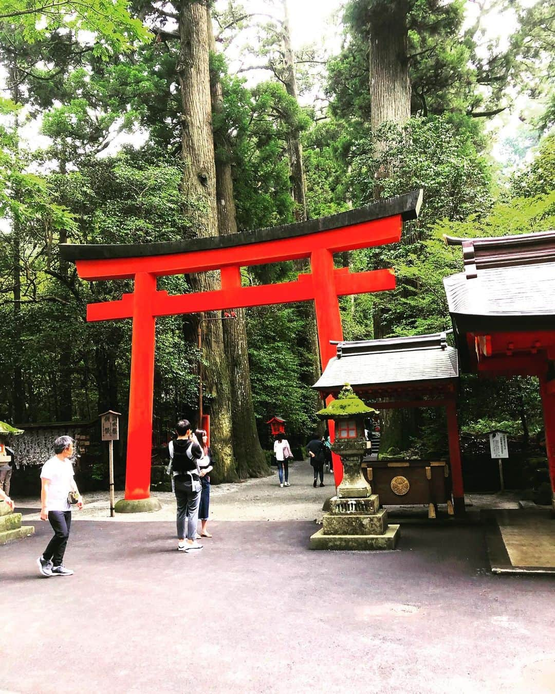 カイヤさんのインスタグラム写真 - (カイヤInstagram)「9枚の写真 ➡️9 pictures swipe 箱根神社と九頭龍神社 Hakone Shrine and Kusuryu Shrine ⛩⛩⛩⛩⛩⛩⛩⛩⛩⛩⛩⛩ . . . . . . . . #hakone #箱根神社 #九頭龍神社 #神社 #パワースポット＃神社仏閣＃御朱印#powerspot＃日本#japan #kanagawa #鳥居＃絶景＃旅＃旅行＃秘境#japan_of_insta #wonderful- places #beautifuldestinations #fantastic_earth #discoverearth #earthawesome 神社仏閣 #shrine #jinja #japan #kanagawa #神奈川 #lovelive #grateful #感謝 #travel #beautifullife #amazing #colorful #green #instafaily #followfollow #nature」7月17日 7時30分 - caiya.kawasaki