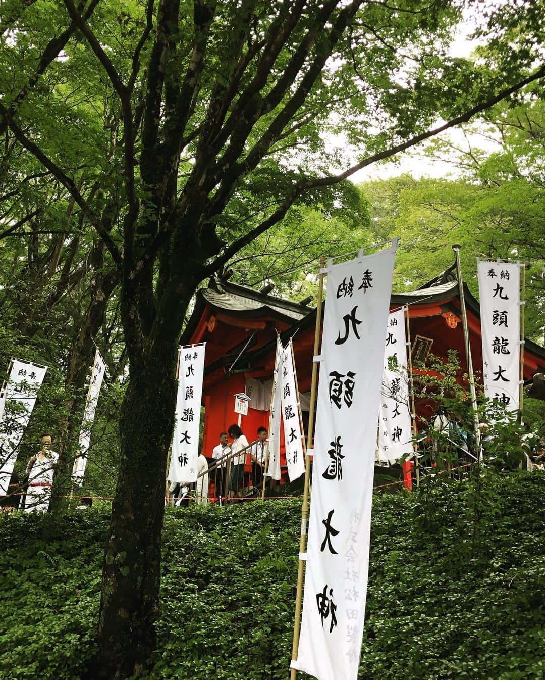 カイヤさんのインスタグラム写真 - (カイヤInstagram)「9枚の写真 ➡️9 pictures swipe 箱根神社と九頭龍神社 Hakone Shrine and Kusuryu Shrine ⛩⛩⛩⛩⛩⛩⛩⛩⛩⛩⛩⛩ . . . . . . . . #hakone #箱根神社 #九頭龍神社 #神社 #パワースポット＃神社仏閣＃御朱印#powerspot＃日本#japan #kanagawa #鳥居＃絶景＃旅＃旅行＃秘境#japan_of_insta #wonderful- places #beautifuldestinations #fantastic_earth #discoverearth #earthawesome 神社仏閣 #shrine #jinja #japan #kanagawa #神奈川 #lovelive #grateful #感謝 #travel #beautifullife #amazing #colorful #green #instafaily #followfollow #nature」7月17日 7時30分 - caiya.kawasaki