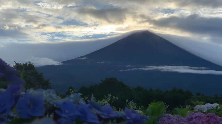 のインスタグラム：「. 🤩🤩“Shizuoka” prefecture in Japan is a place where you can see the most “phantastic” Mt. Fuji🗻 in the world.🤩 #富士山 #mtfuji #japan #shizuoka #fujinomiya  #phantastic420photography #mostphantasticmtfuji #selamatpagi  #goodmorning  #おはようございます 😇😇😇😇😇😇😇🗻😇😇 もう完全にネタ切れです🤣昨日のと変わりません🤣今朝は家の方は見えてましたけど寝坊につき撮れませんでした🤣」