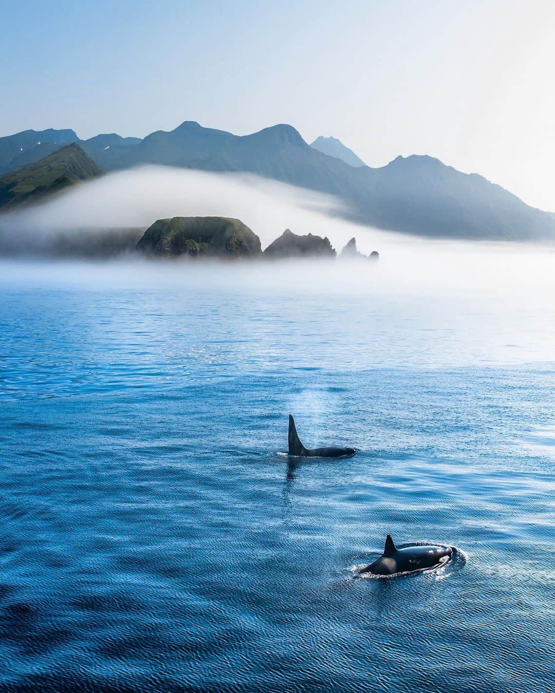 クリス・バーカードのインスタグラム：「My first time seeing a Killer whale. There may have been a tear or two shed. First thing I did after was text this photo to my wife & son Jeremiah. It’s amazing that this far away from home, literally the other side of the globe, we can still share these special experiences with those we love most. .  #FromKurilsWithLove @jtkerby @renan_ozturk @taylorfreesolo @tedhesser @tomorrow_unlocked @rishisugla」