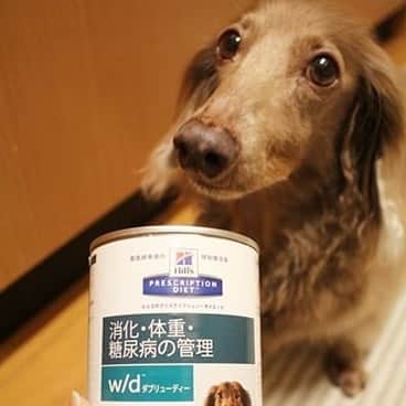 くるみんのインスタグラム：「* 2ワンとも下痢ピーになってしまったので、昨日病院行ってきました。  ①初めての療法食と、②お薬💊出たよ 療法食だって、ウマウマらしい😅 * あずきちゃんは既に快方に向かっています  #ミニチュアダックスフンド #ミニチュアダックスフント #ミニチュアダックス #イザベラタン #イザベラ #カニンヘンダックスフント #カニンヘン #カニンヘンダックス #カニンヘンダックスフンド #チョコタンダックス #チョコタン #ダックス多頭飼い #ダックスフント #ダックスフンドカニンヘン #ダックスフンド #ダックス #動物病院 #療法食 #わんこなしでは生きていけません会 #ワンコなしでは生きて行けません会 #いぬばか部 #いぬすたぐらむ #短足部 #dachshundgram #dachshund #dogstagram #instagramdog #kyounodachs #instadachs #todayswanko」