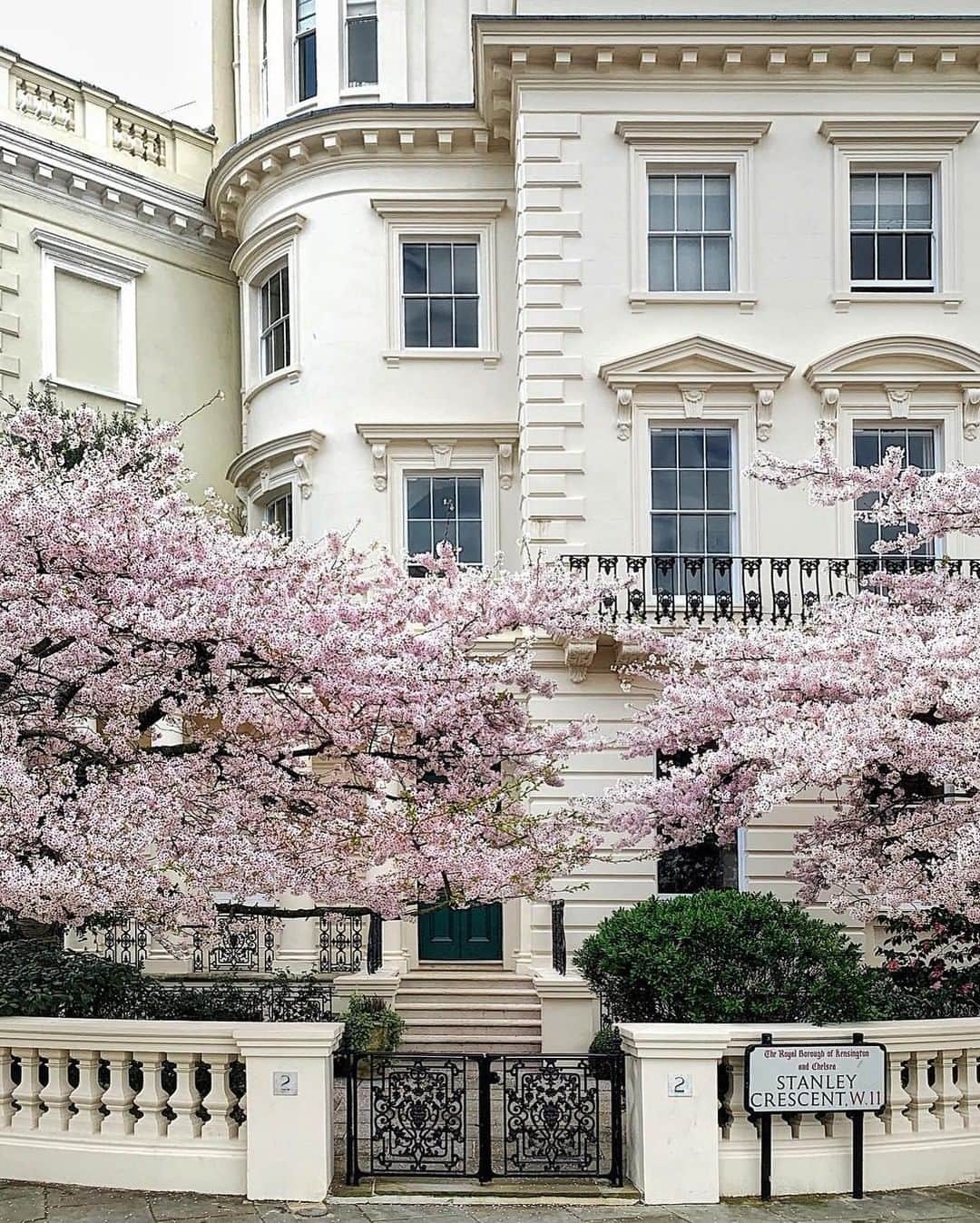 のインスタグラム：「Bloomin' London! 🖤🌸🌞🌸🌞🌸⠀⠀⠀⠀⠀⠀⠀⠀⠀ ⠀⠀⠀⠀⠀⠀⠀⠀⠀ Image via: @elensham⠀⠀⠀⠀⠀⠀⠀⠀⠀ ⠀⠀⠀⠀⠀⠀⠀⠀⠀ #london #blooms #travels #stunning #nottinghill」