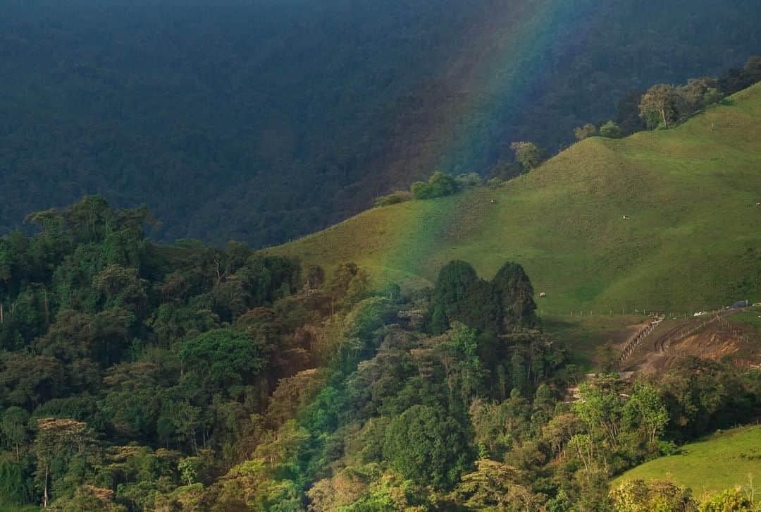National Geographic Travelさんのインスタグラム写真 - (National Geographic TravelInstagram)「Photo by @sofia_jaramillo5 | A rainbow illuminates the countryside outside of Manizales, Colombia. Manizales is known as "The City of Open Doors" for its welcoming residents. It sits in the heart of the Colombian Coffee Region and offers a plethora of day trip activities in and around the city. Within a few hours drive, you can visit coffee farms, volcanic hot springs and high altitude national parks. For more photos from Colombia and South America, follow me, @Sofia_Jaramillo5. #colombia #travel」7月3日 1時01分 - natgeotravel