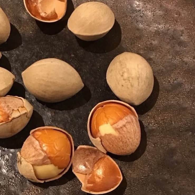 カッシーワお初天神のグルメインスタ