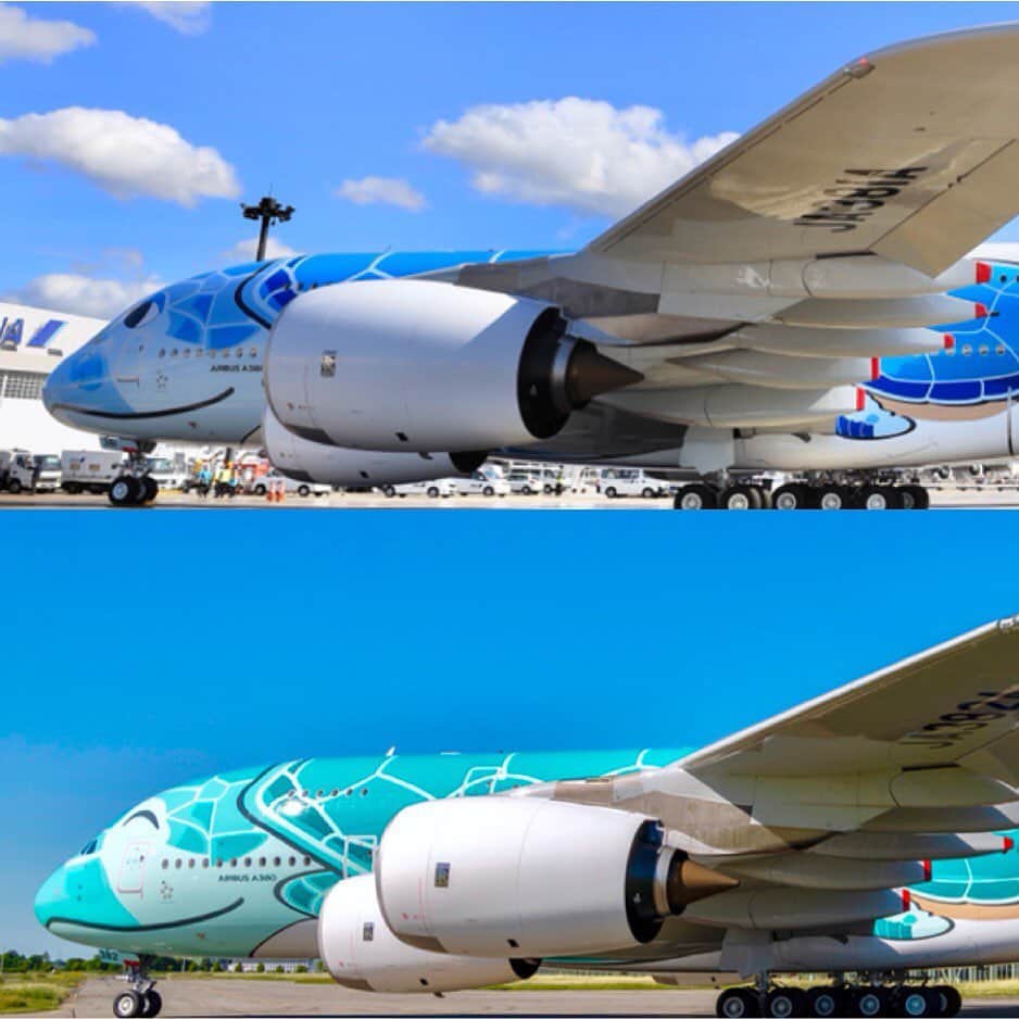 ANAのインスタグラム：「今日から2機で仲良くフライト🎶  #ソラマニ_ヒコーキ #a380 #フライングホヌ #1日2便 #日曜日 #火曜日 #金曜日 #1号機 #2号機 #スワイプしてね #飛行機 #空 #ハワイ #ホノルル #海外旅行 #ワクワク #夏休み #flyinghonu #hawaii #honolulu #japan #internationaltravel #anaairplane #airplane  ANAの飛行機は「#ソラマニ_ヒコーキ」をつけて投稿してね✈️インスタやANAの各メディアでご紹介していきます📷」