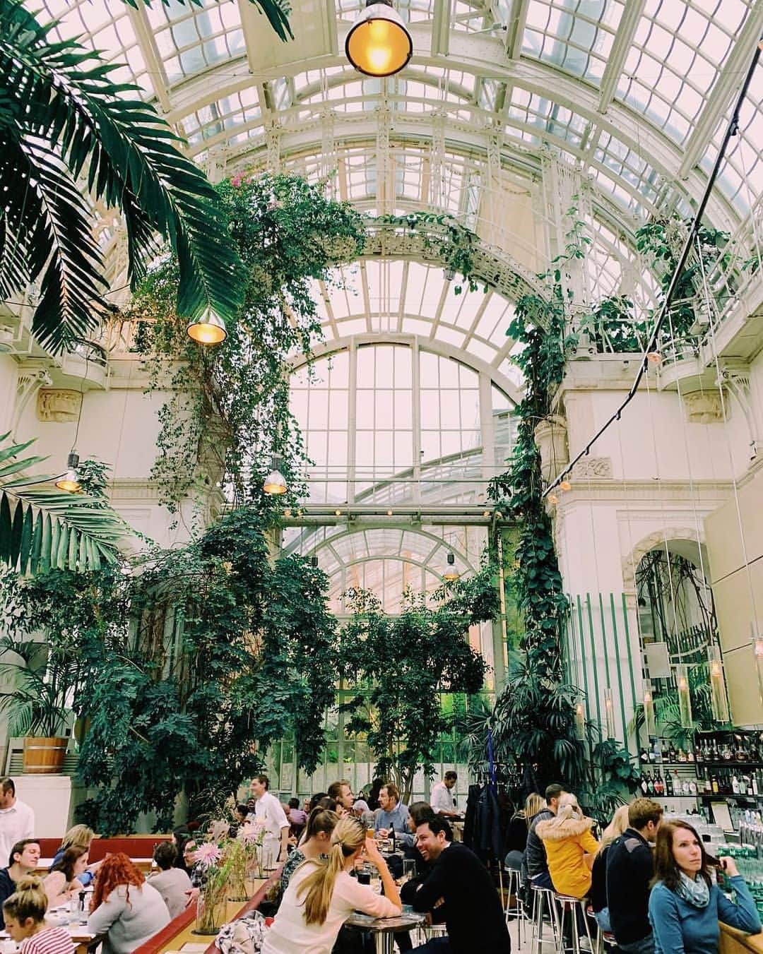 Wien | Viennaさんのインスタグラム写真 - (Wien | ViennaInstagram)「A place you should not miss when visiting Vienna - the stunning Palm House located at Burggarten. Inside one can find an amazing restaurant. Have you stumbled upon this place when exploring Vienna? 🍃🍹 by @dsgncmmnct #ViennaNow」7月2日 18時12分 - viennatouristboard
