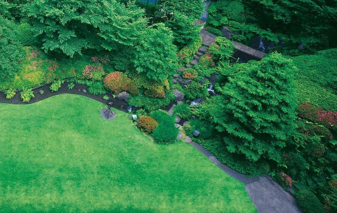 ホテルオークラ東京 Hotel Okura Tokyoさんのインスタグラム写真 - (ホテルオークラ東京 Hotel Okura TokyoInstagram)「喧騒を隔てた先に🌳 A tasteful garden in the city.  #日本庭園 #本館1階  #名作庭師 #岩城亘太郎  #滝 #四季折々  #花 #開花時期 #計算  #ホテルオークラ東京  #ホテルオークラ #オークラ #ホテル  #japanese #garden  #mainbuilding #firstfloor  #gardener #SentaroIwaki  #waterfall #season  #flowers  #hotelokuratokyo  #hotelokura #okura #hotel  #retrotheokura」7月2日 18時06分 - theokuratokyo