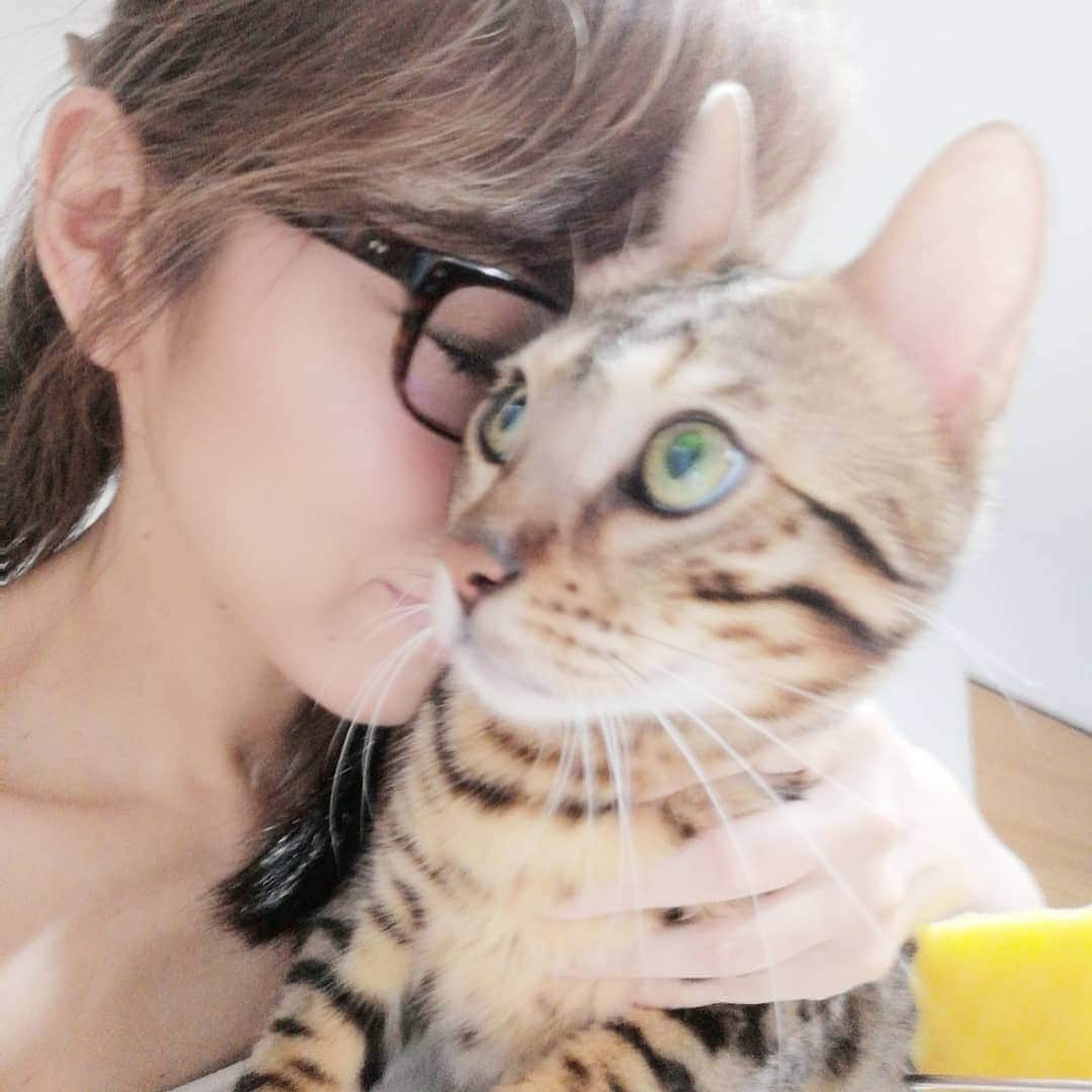 翠千賀のインスタグラム