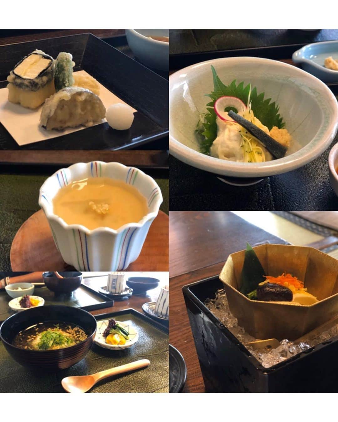 長谷川朋美さんのインスタグラム写真 - (長谷川朋美Instagram)「京都で美味しいお豆腐料理が食べたくて、教えてもらった #豆水楼 へ✨ 鴨川沿いの素敵なロケーションで、上品な豆腐懐石をいただきました☺️ 美味しかったー❣️ ・ 京都の街並みも建物も、おもてなしも大好き💕 定期にチャージしに来たい場所✨ ・ #京都 #kyoto #鴨川 #豆腐 #tofu #和 #japan #おもてなし」7月2日 19時16分 - hasegawa.elena.tomomi