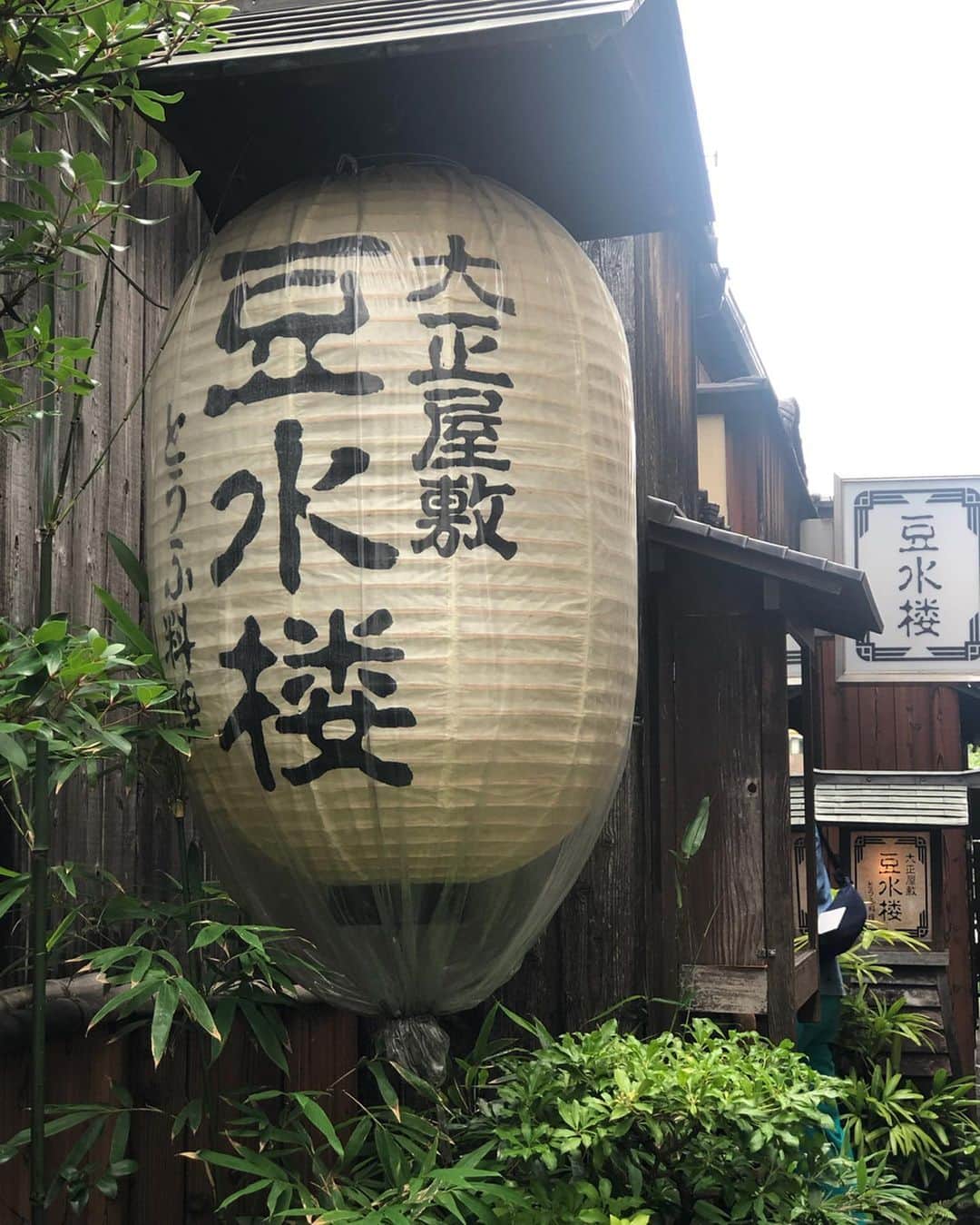 長谷川朋美さんのインスタグラム写真 - (長谷川朋美Instagram)「京都で美味しいお豆腐料理が食べたくて、教えてもらった #豆水楼 へ✨ 鴨川沿いの素敵なロケーションで、上品な豆腐懐石をいただきました☺️ 美味しかったー❣️ ・ 京都の街並みも建物も、おもてなしも大好き💕 定期にチャージしに来たい場所✨ ・ #京都 #kyoto #鴨川 #豆腐 #tofu #和 #japan #おもてなし」7月2日 19時16分 - hasegawa.elena.tomomi