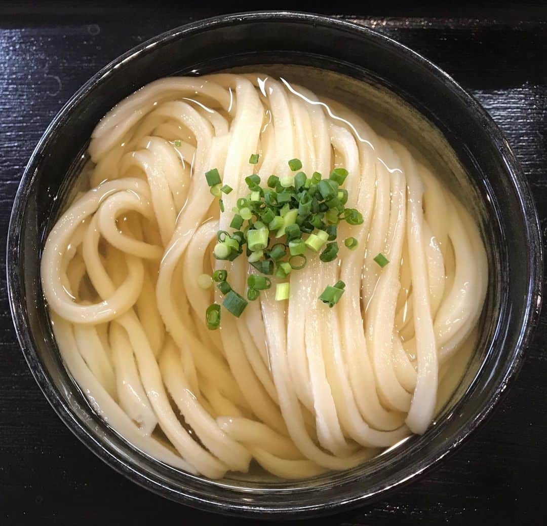 モリスさんのインスタグラム写真 - (モリスInstagram)「今日はうどんの日 みんな日頃からのうどんの活躍に感謝し労をねぎらって綺麗なお花などを贈ろう #うどんの日」7月2日 19時16分 - surimooo