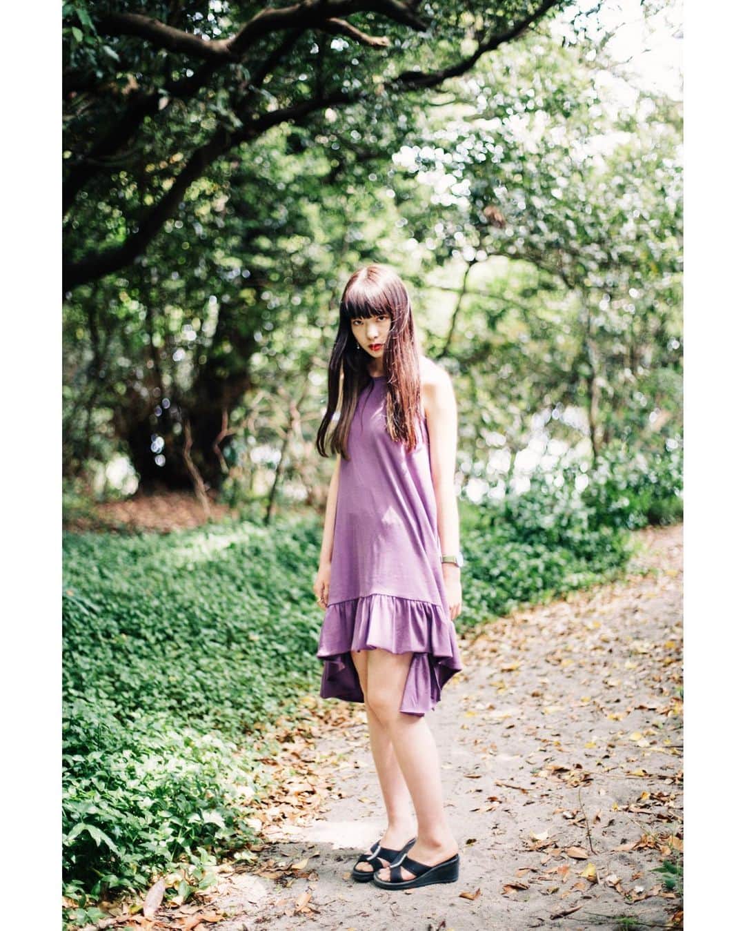 GENTAのインスタグラム：「🌳Deep green🌳 最近オールドレンズであまり撮ってなかったんですが、こういう描写を見ると非球面を使ってない古いレンズいいなぁと思います🤔これはヤシコンのプラナーです。ダブルガウス大好きです。 #planar」
