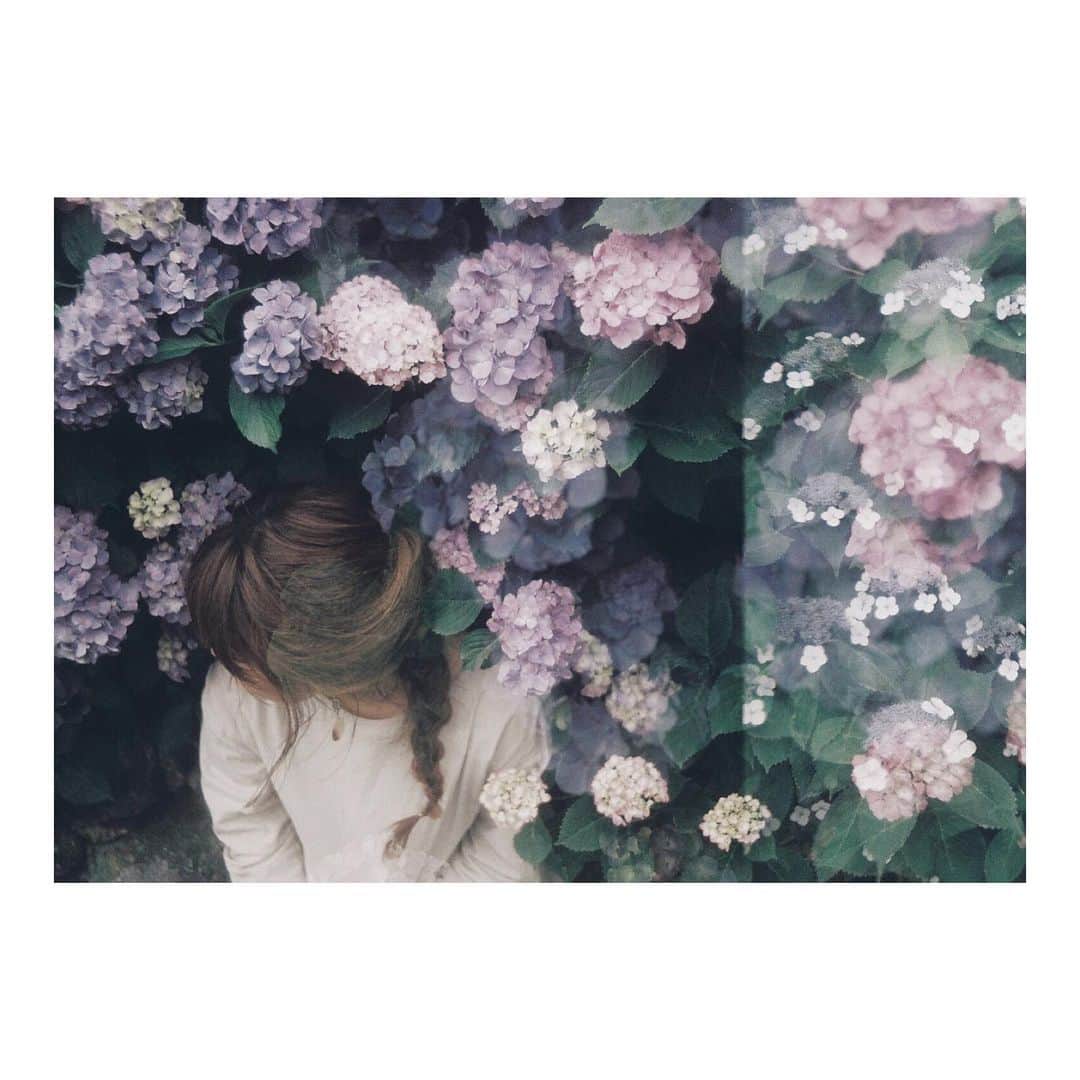bambiflexのインスタグラム：「#film #onfilm #ishootfilm #filmisnotdead #film_com #into_the_screen #igersjp #igersjapan #instagramjapan #indies_gram #filmphotography #analog #analoguefilm #analoguepeople #analoguephotography #ig_japan #film_jp #as_archive #vsco #vscofilm #japan #フィルム #フィルムカメラ #フィルム写真 #exakta」