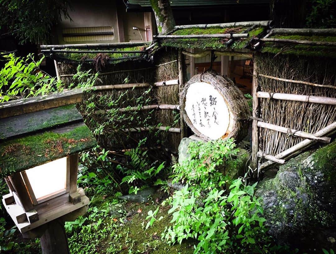 吉岡里帆さんのインスタグラム写真 - (吉岡里帆Instagram)「新緑の京都。 今年は例年より遅めの梅雨入りだそうです。 まだ開いてない紫陽花が…  空いていた数時間を使って、家族とマネージャーさんと弾丸の旅をしてきました。  #京都 #新緑 #梅雨入り」7月2日 22時18分 - riho_yoshioka