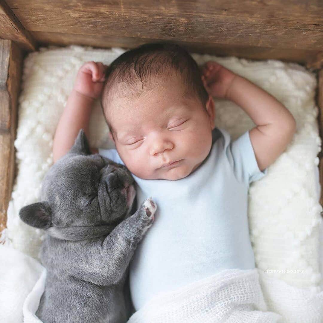 Regeneratti&Oliveira Kennelさんのインスタグラム写真 - (Regeneratti&Oliveira KennelInstagram)「Best friends from day one 👶🐶🐾😍 📸 @top_paw_frenchies . SHARE this cute photo with your friends! .⠀ .⠀ .⠀ .⠀ .⠀ .⠀ .⠀ . #frenchie #frenchieoftheday #französischebulldogge #franskbulldog #frenchbull #fransebulldog #frenchbulldog #frenchiepuppy #dog #petstagram #puppy #puppylove #bully #bulldog #bullyinstafeature #bulldogfrances #フレンチブルドッグ #フレンチブルドッグ #フレブル #ワンコ #frenchyfanatics #frenchiesgram #frenchbulldogsofinstagram #frenchiesoverload #ilovemyfrenchie #batpig #buhi #squishyfacecrewbulldog」7月2日 22時10分 - jmarcoz