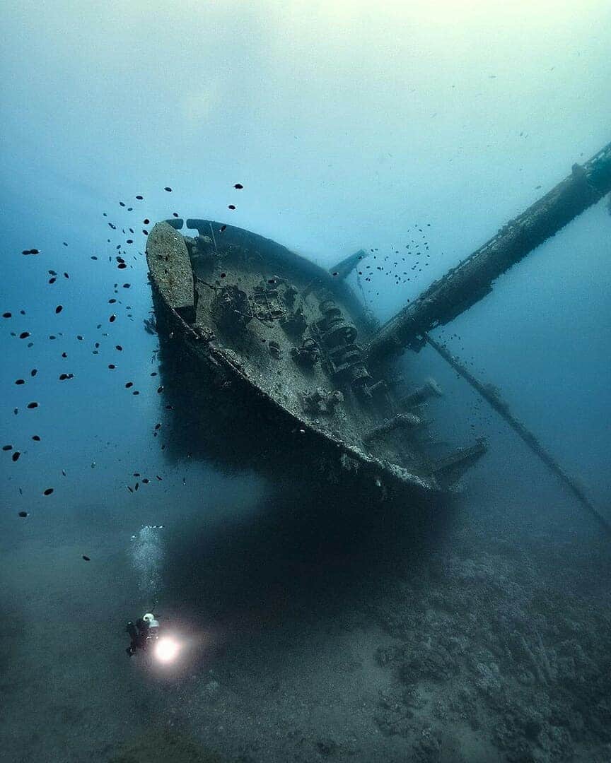 Discover Earthさんのインスタグラム写真 - (Discover EarthInstagram)「It's always very interesting to get to see what happens underwater, it's a whole new world down there ! 🇯🇴 Tag someone who would love to dive in the Aqaba Sea in Jordan ! — 📍#DiscoverJordan — 📸 Photos by @alex_dawson_photography」7月2日 22時20分 - discoverearth