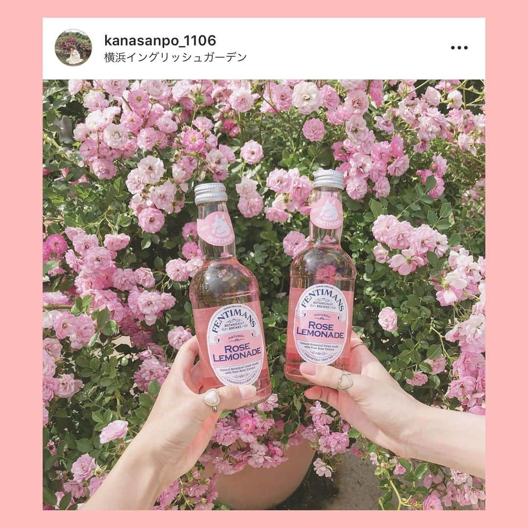 bis_web bis [ビス] さんのインスタグラム写真 - (bis_web bis [ビス] Instagram)「July 2, Tuesday﻿ ﻿ ﻿ 🌹﻿ ﻿ ﻿ 夏の暑い日には﻿ FENTIMANS ( フェンティマンス ) のローズレモネードはいかが？💕﻿ ﻿ パッケージがかわいいと話題ですが﻿ 甘酸っぱくて夏にぴったり！🍋💕﻿ ﻿ PLAZAのオンラインストアでも購入できるそう！﻿ みんなもぜひ飲んでみて！﻿ ﻿ ﻿ ﻿ #plaza #レモネード #ローズレモネード #バラ #フェンティマス #fentimans #🍋 #🌹 #ピンク #pink #瓶 #瓶ボトル #ドリンク #ビタミン」7月2日 22時55分 - bis_web