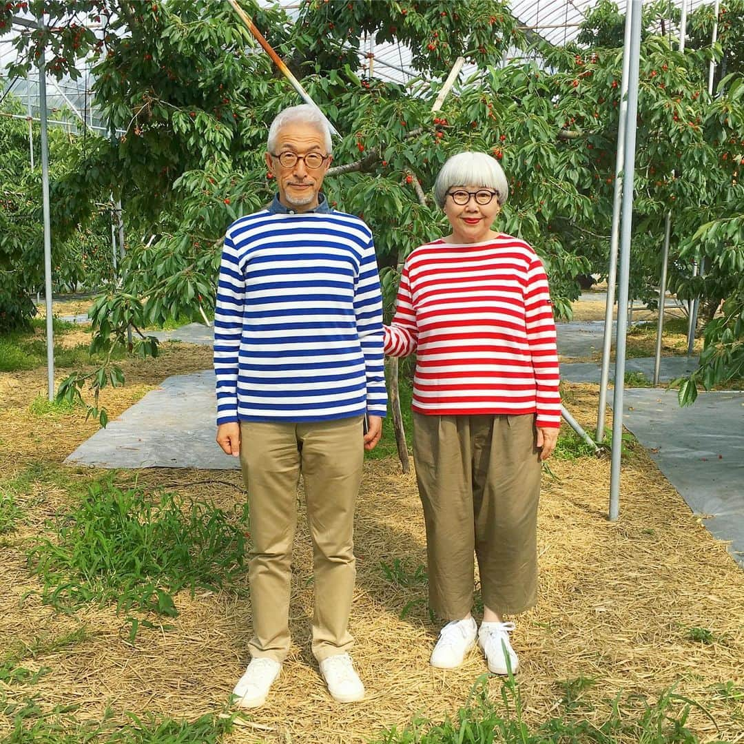 bon ponさんのインスタグラム写真 - (bon ponInstagram)「さくらんぼ狩りのチケットをいただいたので、山形県東根の観光果樹園にさくらんぼ狩りに行ってきました🍒🍒🍒 最盛期は過ぎていましたが、さくらんぼの王様「佐藤錦」を存分に味わいました😍😍 ・ #さくらんぼ狩り #さくらんぼ #山形 #東根 #夫婦 #60代 #ファッション #コーディネート #リンクコーデ #夫婦コーデ #グレイヘア #白髪 #共白髪 #couple #over60 #fashion #coordinate #instafashion #instagramjapan #greyhair #bonpon511」7月2日 23時53分 - bonpon511