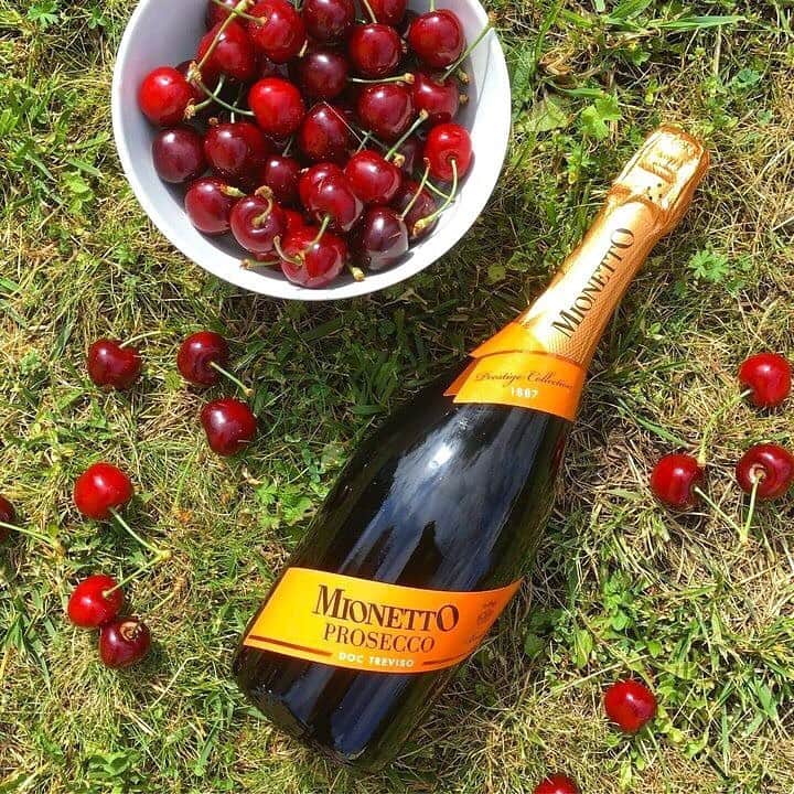 Mionetto Prosecco ČRさんのインスタグラム写真 - (Mionetto Prosecco ČRInstagram)「Tak přesně takhle chutná léto. 🧡  #mionetto #mionettoprosecco #prosecco #summer #fruit #sun #summervibes #proseccovibes #prossecotime #drink #juicy #tasteofprosecco #bubbles」7月2日 23時57分 - mionetto_cz