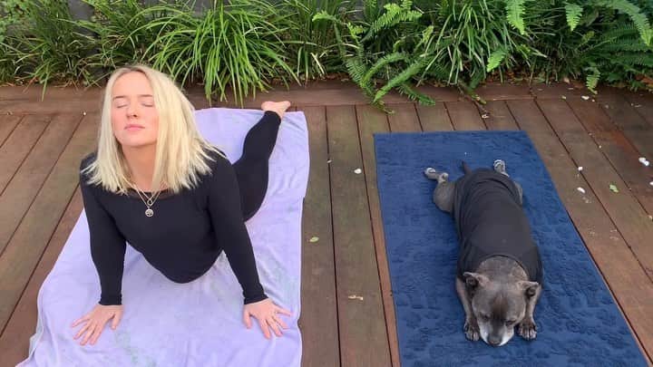 のインスタグラム：「What a week already. I need to relax. Breathe! Oooh dat feel good. Why do I never stick to dis. I FEEL AMAZING. Breakfast was good dis morning. I’m going to get up early and cook eggs more often. No more sleeping in. Been a tough week so far. I hope Sharon remembered to file dose papers!! My butt is already on de chopping block for sleeping at my desk! Wonder if Suzy from accounts told everyone she’s pregnant yet? Hope I get a seat on de train tonight. Hate packed trains. Makes me anxious. Ok FOCUS PHILLY. Breathe. Count to ten. One... two... thr.... wonder what’s for dinner tonight? Better not be kale soup I can only do one healthy fing today. Maybe I’ll get a slice of pizza from dat stand on the way home and say I’m not hungry. What would aliens fink if dey came from space and saw a bunch of people stretching together? Wonder if aliens even stretch? Dat would be weird! I fink de instructor just caught me picking my wedgie. DONT LET DAT FART OUT OMG HOLD IT IN!! Too late. How embarrassing.」