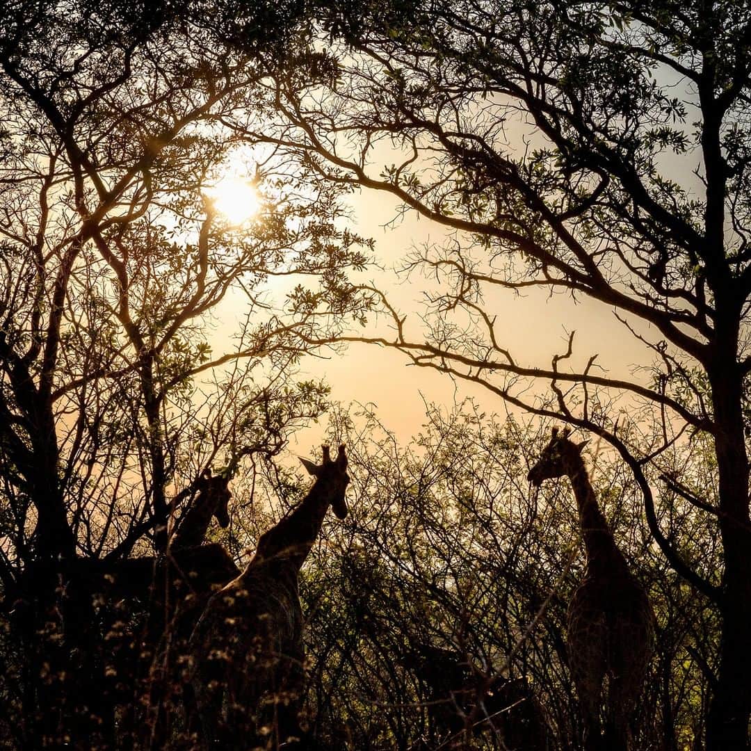 National Geographic Travelのインスタグラム