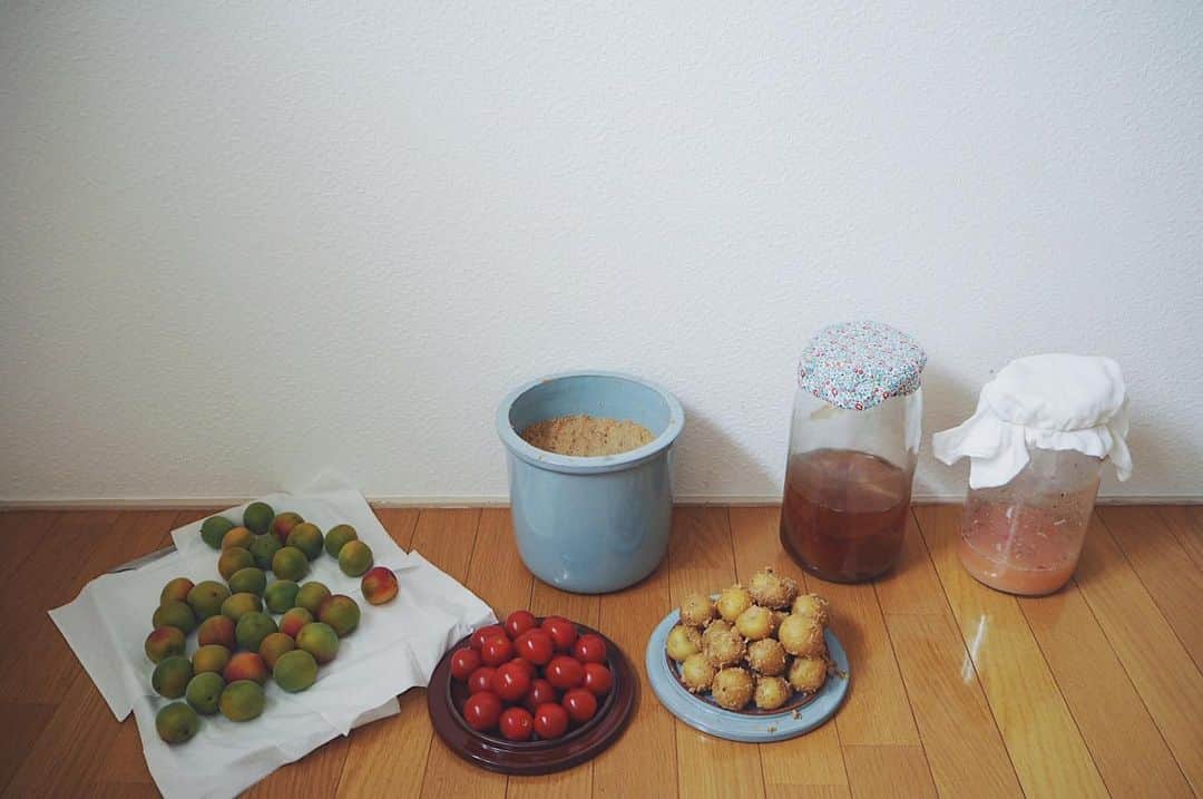 田中菜月のグルメインスタ