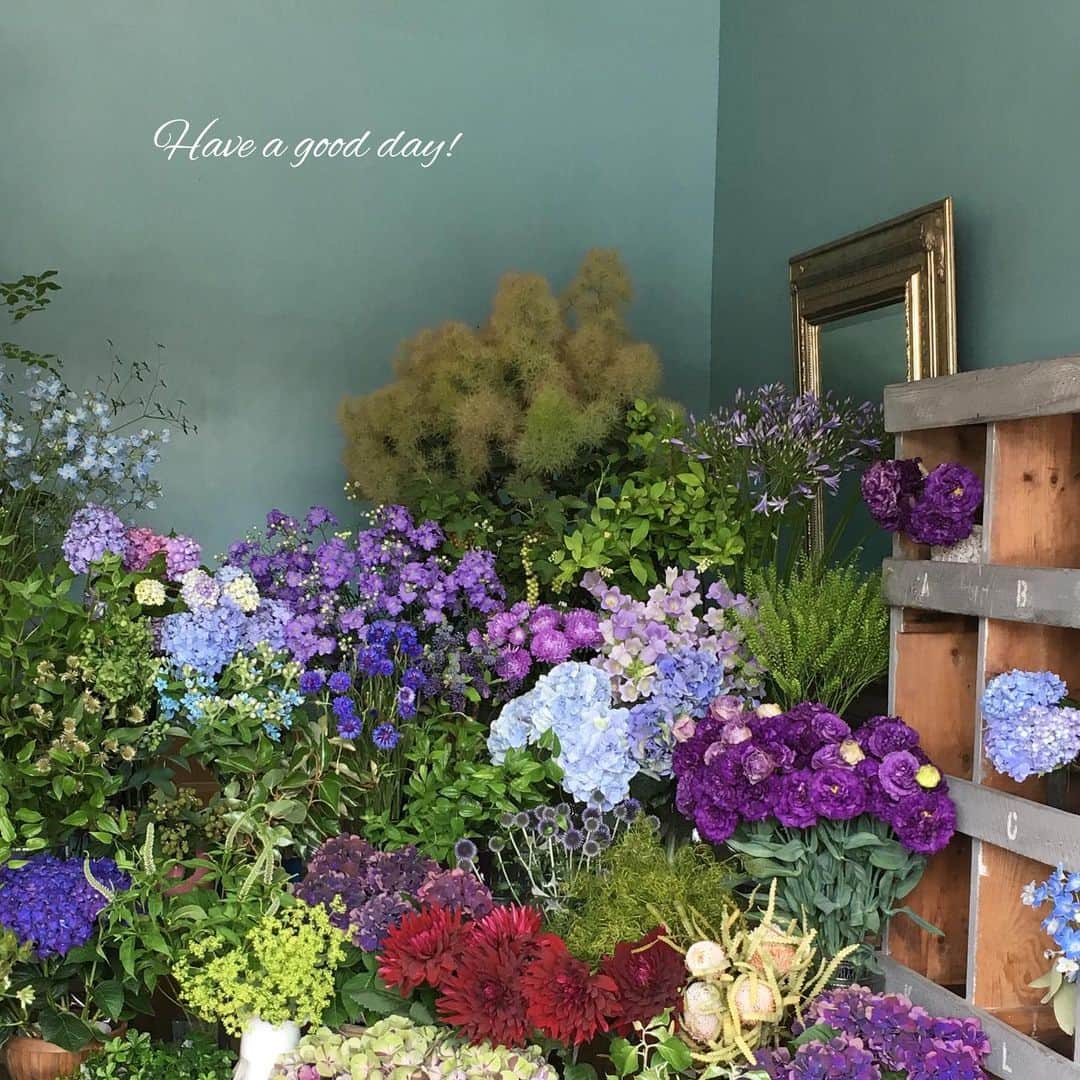 雑誌『花時間』さんのインスタグラム写真 - (雑誌『花時間』Instagram)「おはようございます。お花屋さんへ行く理由は、なんですか？  家に飾る花を買うため、誰かにあげる花を買うため…行きつけのお店なら、笑顔😊に会うためだったりしませんか？  このお花屋さんは、横浜・美しが丘の『空の箱（そらのはこ）』さん。この春、初めて伺ったときに、私が花屋さんに行く理由はそうなんだなぁと再確認しました。オーナーは大谷明子さん。飾らない笑顔で、大好きな花のことを話してくれました。そして、花屋さんの女性は、頑張り屋さんが多いんだなあと。訪ねた日、まだ小さな赤ちゃんを連れてお店に。頑張ってほしいな、日本中の花屋さんで働く女性たち！  空の箱では、その日の天気で表情が変わる「空色」の空間のなか、季節を肌で感じられる花々が並んでいます。これからの季節は少しでも涼んでもらえるよう、紫や青、緑の枝もの🌿を意識して仕入れていくそう。なお、赤ちゃんがいるため、しばらくは土日はお休みです。皆さんも、今日は大好きなお花屋さんへ行きませんか〜？ では、本日も元気smile😊😊😊で頑張りましょう！  by ピーターパン  花屋さん @soranohako  #hana #flower #flowers #flowerslovers #flowerstagram #flowerarrangement #colorful #花時間 #花時間2017 #花 #花好き #花藝 #花好きな人と繋がりたい #花が好きな人と繋がりたい #花のある生活 #花のある暮らし #botanicallife #夏の花 #素敵な花屋さん #青い花が好き #紫の花が好き #大好きな花屋さん #空の箱 #花屋さんへ行こう」7月3日 10時31分 - hanajikan_magazine