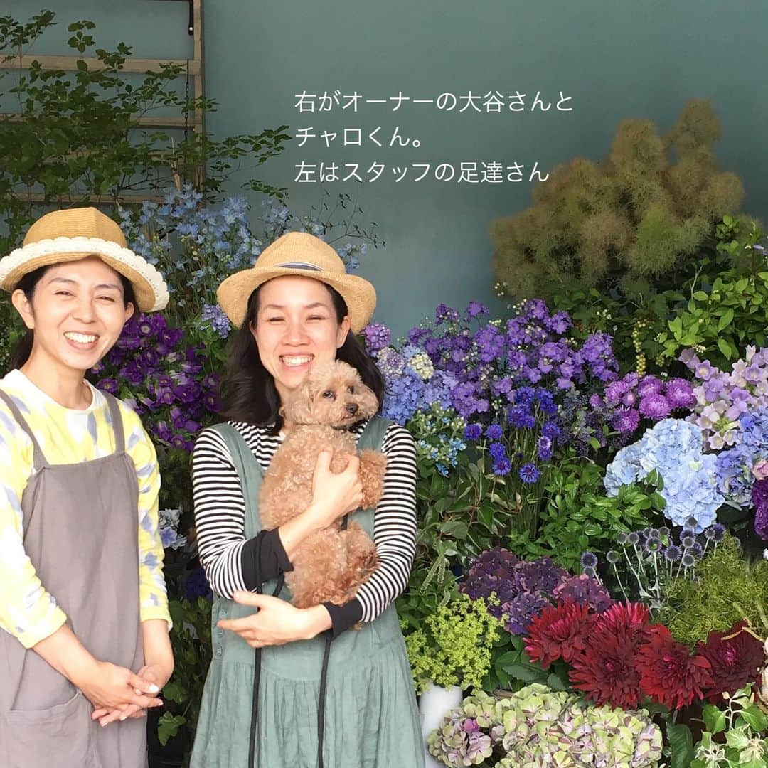 雑誌『花時間』さんのインスタグラム写真 - (雑誌『花時間』Instagram)「おはようございます。お花屋さんへ行く理由は、なんですか？  家に飾る花を買うため、誰かにあげる花を買うため…行きつけのお店なら、笑顔😊に会うためだったりしませんか？  このお花屋さんは、横浜・美しが丘の『空の箱（そらのはこ）』さん。この春、初めて伺ったときに、私が花屋さんに行く理由はそうなんだなぁと再確認しました。オーナーは大谷明子さん。飾らない笑顔で、大好きな花のことを話してくれました。そして、花屋さんの女性は、頑張り屋さんが多いんだなあと。訪ねた日、まだ小さな赤ちゃんを連れてお店に。頑張ってほしいな、日本中の花屋さんで働く女性たち！  空の箱では、その日の天気で表情が変わる「空色」の空間のなか、季節を肌で感じられる花々が並んでいます。これからの季節は少しでも涼んでもらえるよう、紫や青、緑の枝もの🌿を意識して仕入れていくそう。なお、赤ちゃんがいるため、しばらくは土日はお休みです。皆さんも、今日は大好きなお花屋さんへ行きませんか〜？ では、本日も元気smile😊😊😊で頑張りましょう！  by ピーターパン  花屋さん @soranohako  #hana #flower #flowers #flowerslovers #flowerstagram #flowerarrangement #colorful #花時間 #花時間2017 #花 #花好き #花藝 #花好きな人と繋がりたい #花が好きな人と繋がりたい #花のある生活 #花のある暮らし #botanicallife #夏の花 #素敵な花屋さん #青い花が好き #紫の花が好き #大好きな花屋さん #空の箱 #花屋さんへ行こう」7月3日 10時31分 - hanajikan_magazine