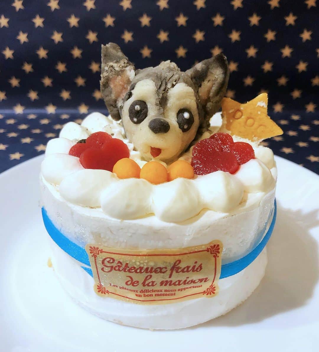 miniさんのインスタグラム写真 - (miniInstagram)「Baby @gyo_za.dogcom 🥟🐺 hApPY biRtHdAy🧁👅💓💜💎🌈 愛するギョウザ先生💓 6/28で11歳になりました🌞✨ もぅ、「一生一緒♡」を誓ってから11年も経ったんだね♡ たくさんの事があったね♡ 嬉しい時も、楽しい時も、悲しい時も、いつも側にそっといてくれてありがとう♡ 甘えん坊で、優しくて、私の色んな感情をその小さな眼差しで見上げて読み取ってくれて、ありがとう♡ ギョウザが側にいてくれなかったら乗り越えられなかった時も、ギョウザが潰れそうになるほど、泣きながら抱きしめて、ギョウザの背中を濡らした事もあったね。 いつもいつも誰よりも、何よりも、心から愛しているよ💓💜 まだまだずーっと一緒にいたいから、まだまだママをひとりぼっちにしないでね😢✨ 一生一緒いる！って誓って手に乗るほど小さなギョウザを抱きしめたあの日から、毎日毎日愛しているよ♡ これからも一生一緒だからね♡ お誕生日おめでとう🎂💓💜💎✨✨🥟🐺 #birthday #gyoza #ギョウザ先生 #happybirthday #dog #chihuahua #dogbirthday #dogcake #lovina #犬ケーキ #飼い主の特製即席王冠だよ👑」7月3日 10時37分 - mini.stagram