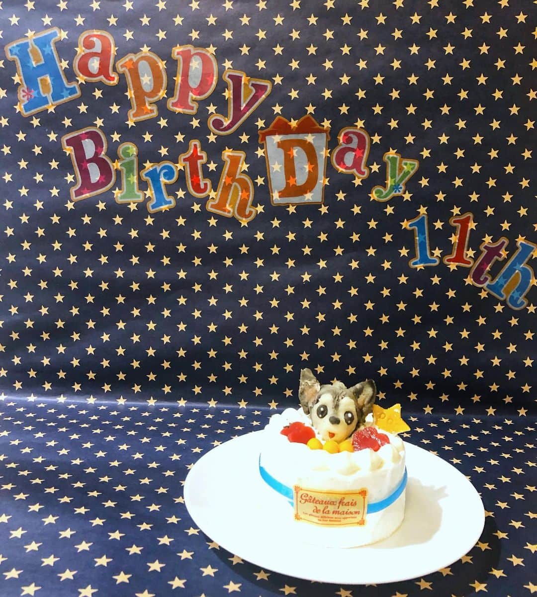miniさんのインスタグラム写真 - (miniInstagram)「Baby @gyo_za.dogcom 🥟🐺 hApPY biRtHdAy🧁👅💓💜💎🌈 愛するギョウザ先生💓 6/28で11歳になりました🌞✨ もぅ、「一生一緒♡」を誓ってから11年も経ったんだね♡ たくさんの事があったね♡ 嬉しい時も、楽しい時も、悲しい時も、いつも側にそっといてくれてありがとう♡ 甘えん坊で、優しくて、私の色んな感情をその小さな眼差しで見上げて読み取ってくれて、ありがとう♡ ギョウザが側にいてくれなかったら乗り越えられなかった時も、ギョウザが潰れそうになるほど、泣きながら抱きしめて、ギョウザの背中を濡らした事もあったね。 いつもいつも誰よりも、何よりも、心から愛しているよ💓💜 まだまだずーっと一緒にいたいから、まだまだママをひとりぼっちにしないでね😢✨ 一生一緒いる！って誓って手に乗るほど小さなギョウザを抱きしめたあの日から、毎日毎日愛しているよ♡ これからも一生一緒だからね♡ お誕生日おめでとう🎂💓💜💎✨✨🥟🐺 #birthday #gyoza #ギョウザ先生 #happybirthday #dog #chihuahua #dogbirthday #dogcake #lovina #犬ケーキ #飼い主の特製即席王冠だよ👑」7月3日 10時37分 - mini.stagram
