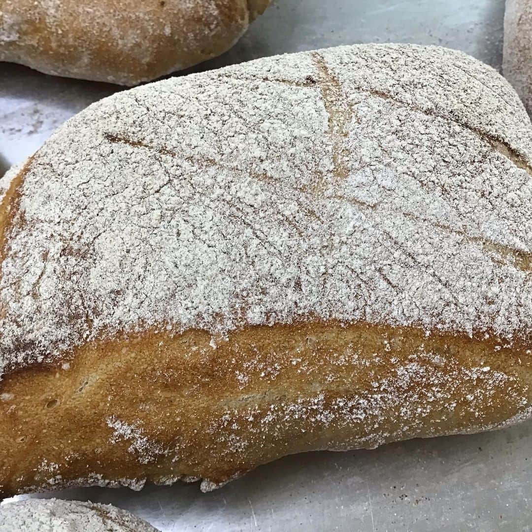 魔女菅原のグルメインスタ